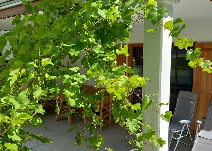 Moarhof Feilnbach * 바트파일른바흐